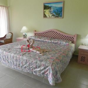 Suite de 1 Dormitorio y Cama King